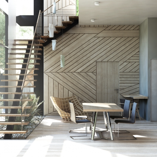 CONCEPT HOUSE 1